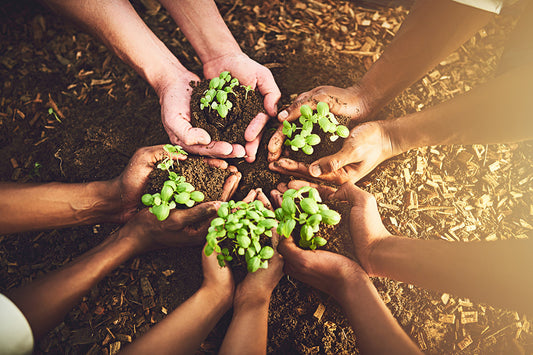 Clean & Sustainable Living - Live a Better Life Naturally